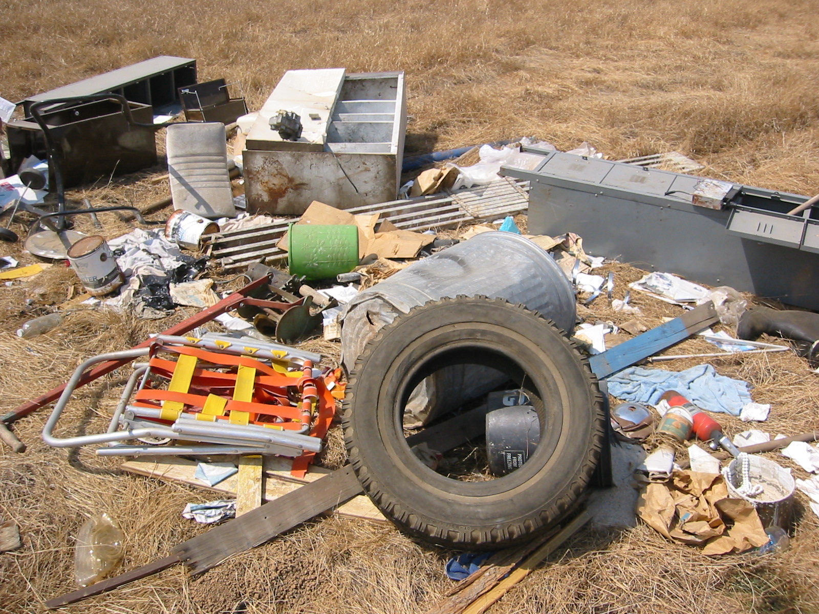 Accumulation of Trash and Debris