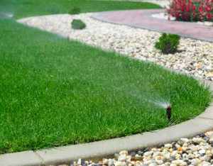 focus on water