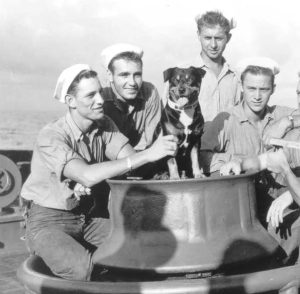 Image of a dog on a U.S. Coast Guard vessel