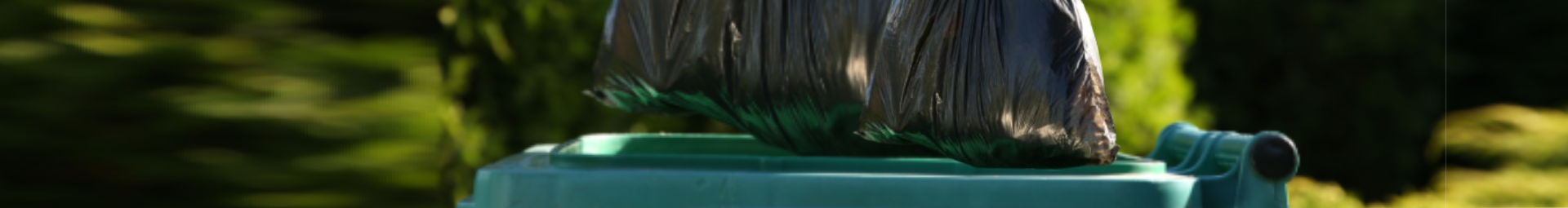An image of a trash bag being placed into a trash cart