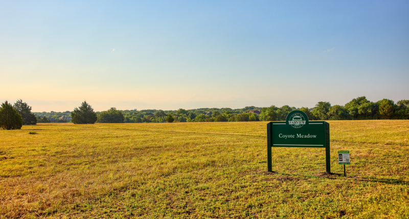 Coyote Park