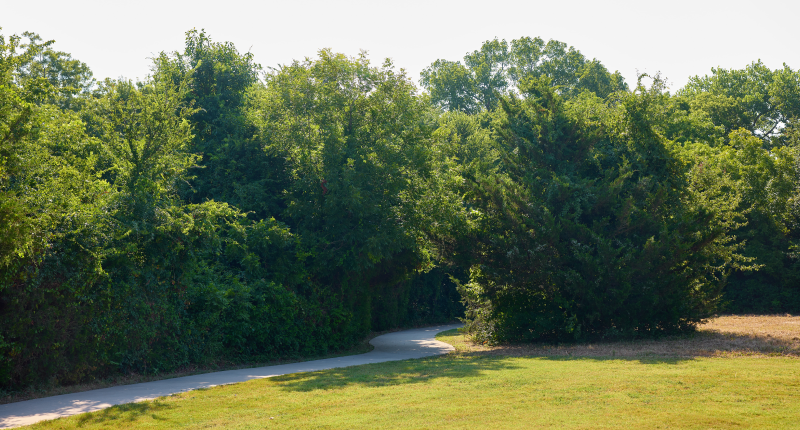 Parkside-Park