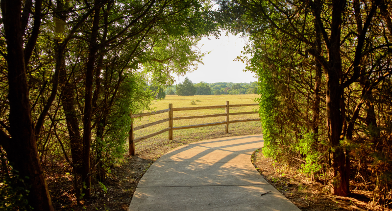 Roadrunner Trail