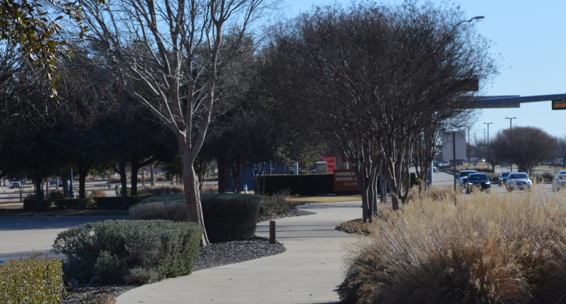 Stacy Road Trail