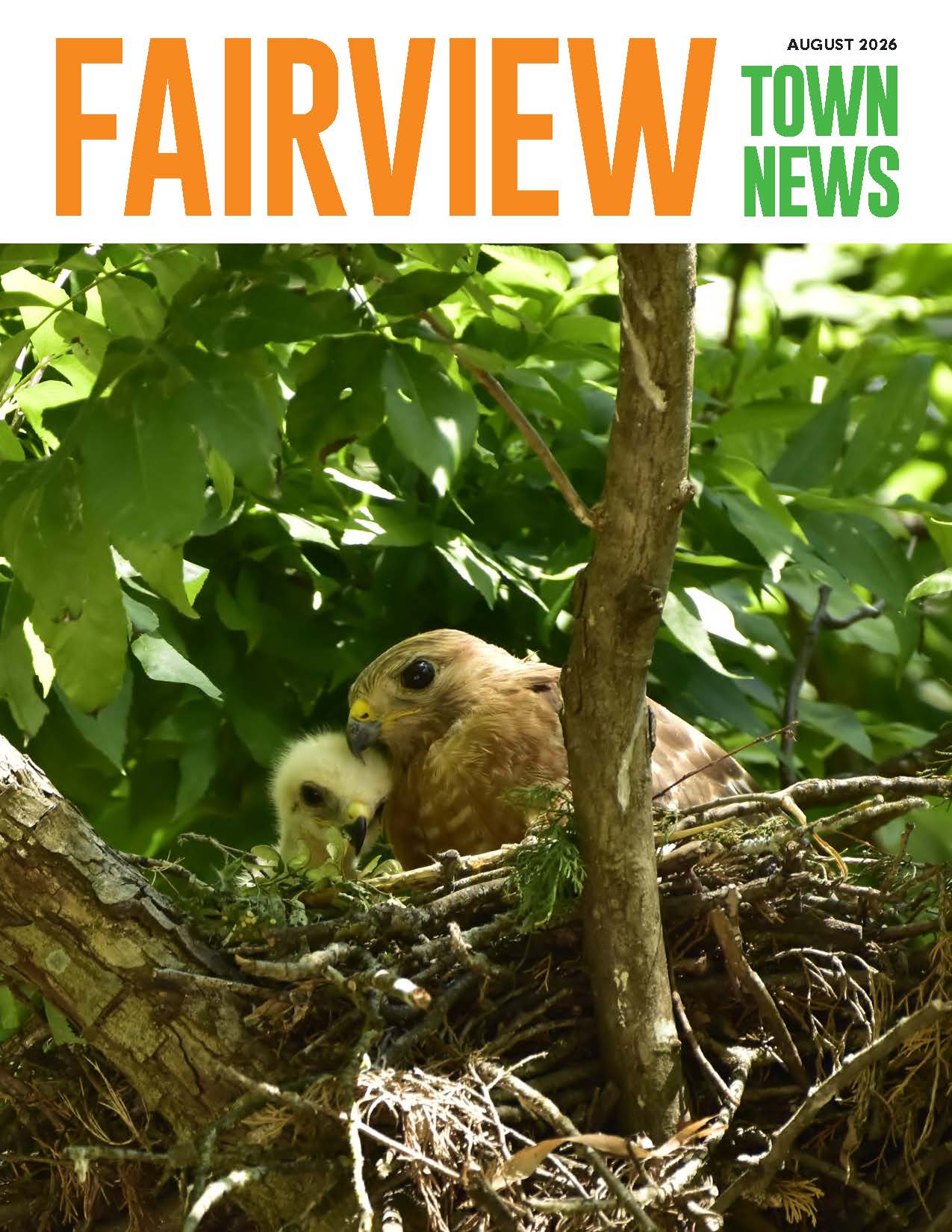 Town-Magazine